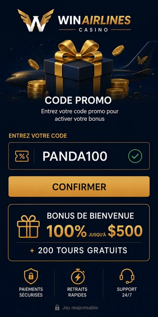 Saisie du code PANDA100 au moment du dépôt chez Winairlines