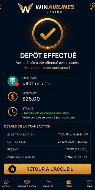 Écran de dépôt USDT TRC-20 chez Winairlines, 25 dollars