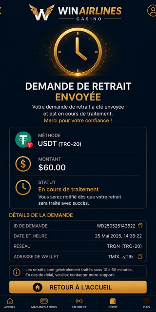 Écran de confirmation de retrait USDT TRC-20 chez Winairlines, 60 dollars